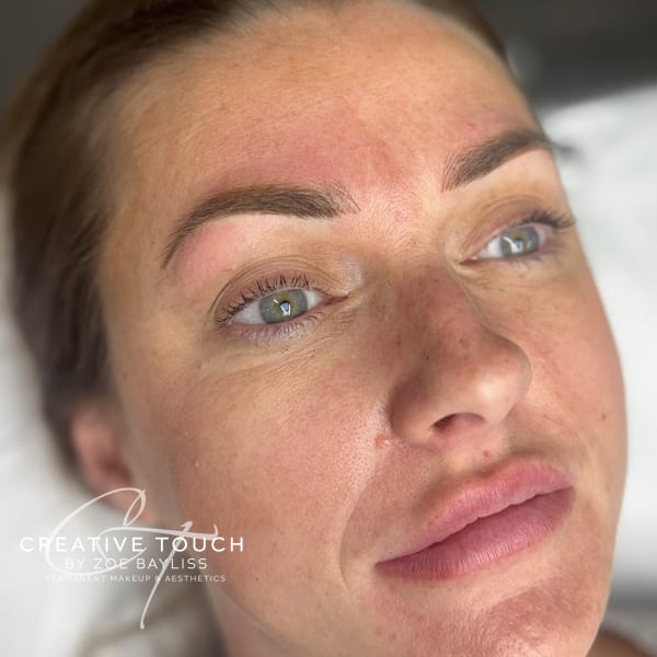 Fresh ombré brows showing soft gradient fade with natural defined arch and gentle pigment post-treatment