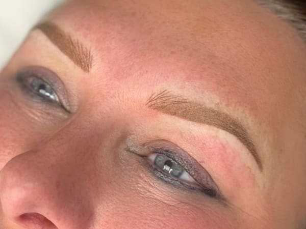Fresh combination brows on fair skin showing fine hair strokes at bulb layered over ombr&eacute; powder shading creating dimensional natural-looking texture and depth