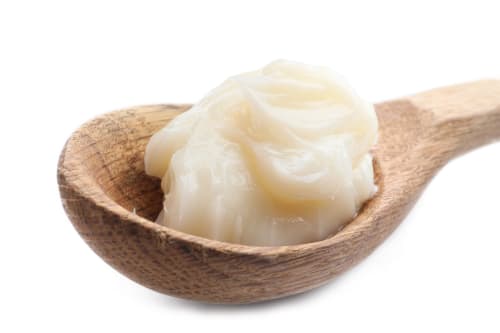 Close up of rendered animal fat on a wooden spoon against a white background