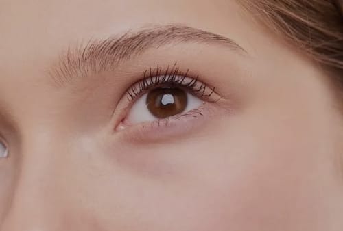Close-up of beautiful brows and lashes