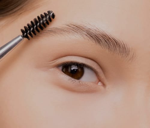 Close up of beautiful brows